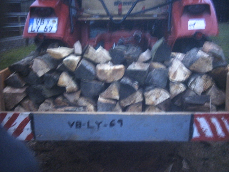 Holz mit Güldner und Eyck Dez. 2008 008.JPG