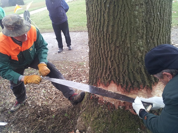 2012-03-31 14.32.14a.jpg