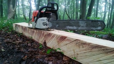 WP_20130629_001.jpg