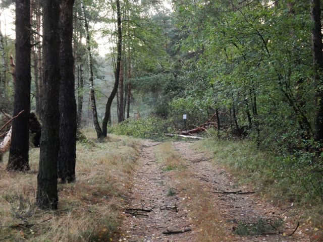 DSC02980.JPG
