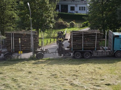 Holz Juni13 001.jpg