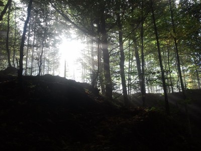 2013-10-03 10.36.36.jpg