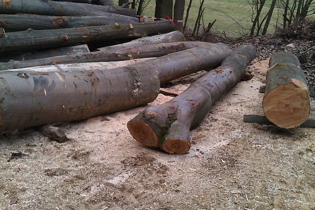 Holz spalten 2015e.jpg