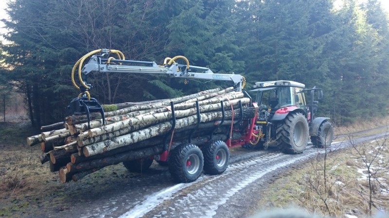 DSC_1158 (Medium).JPG