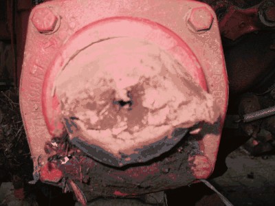 Muggensturm 05.02.08 033.JPG