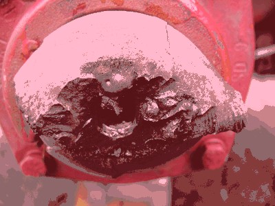 Muggensturm 06,02,08 004.jpg