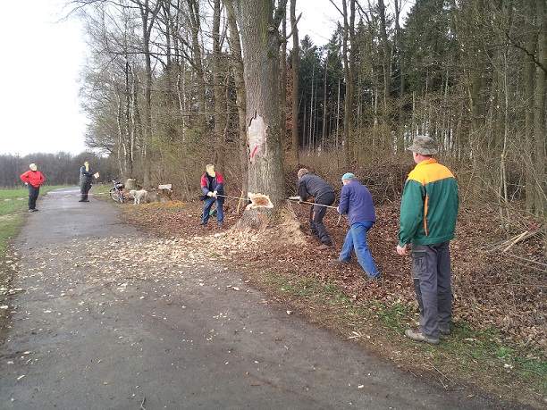 2012-03-31 14.59.16a.jpg