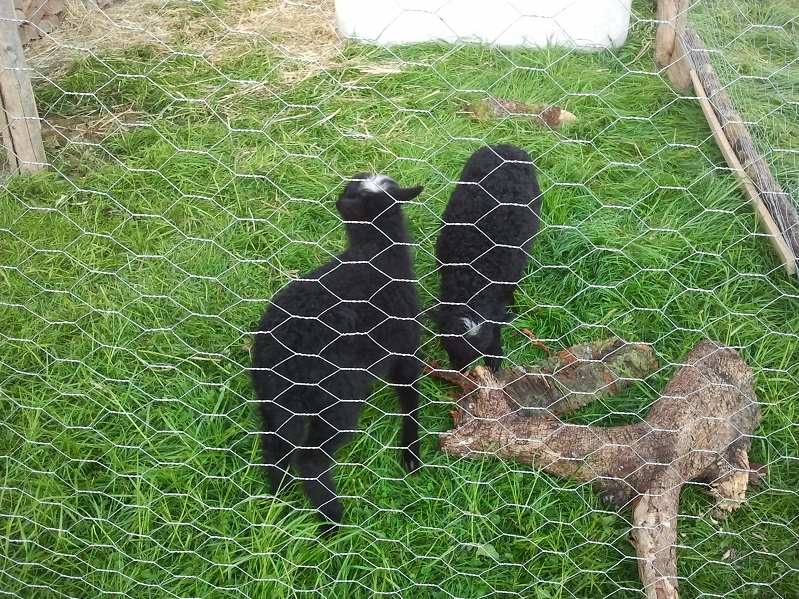 2014-04-24 07.56.19.jpg