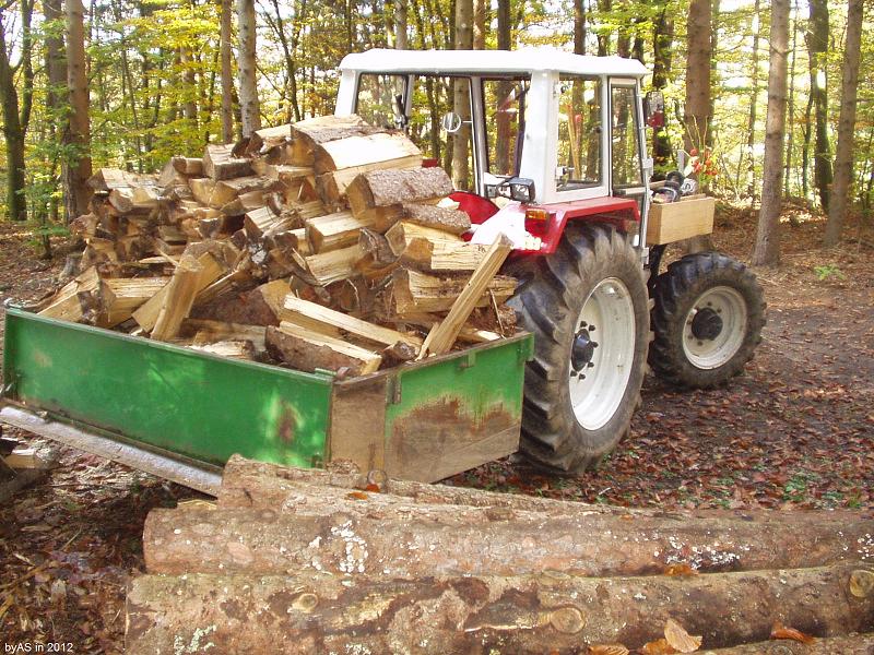 nicht_metriges_Brennholz_PA230006_2.JPG
