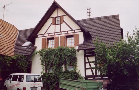 Hausrebe.jpg