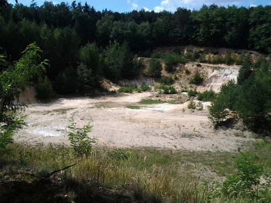 2012-08-09 14.16.15.jpg