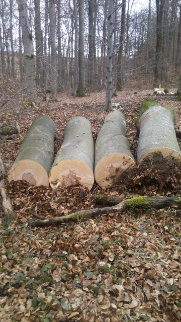 2015-02-21_11-58-11_765 (360x640).jpg