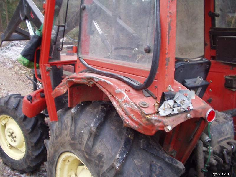 Sepps_Same_Falcon_nach Anlehnen_an_einen_Baum_PC280013_2.JPG