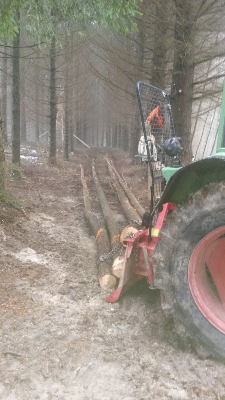 Rückegasse 09.01 (5).jpg