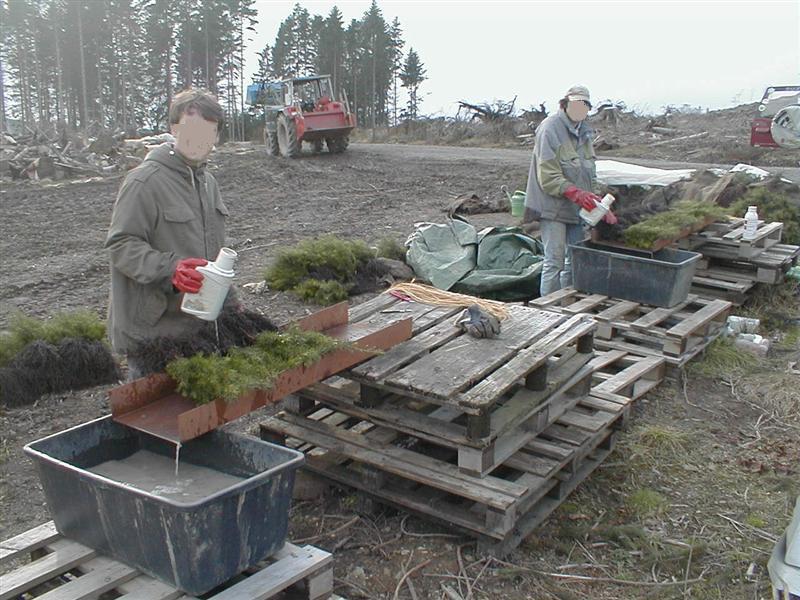 Bild 028 (Medium).jpg