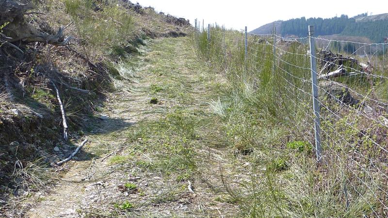 P1040774 (Medium).JPG