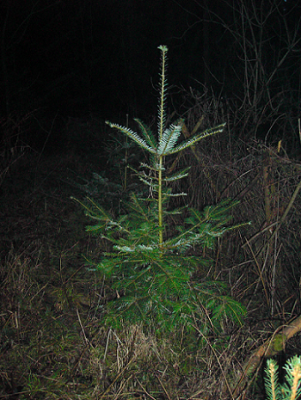 PICT2858 - Kopie.png