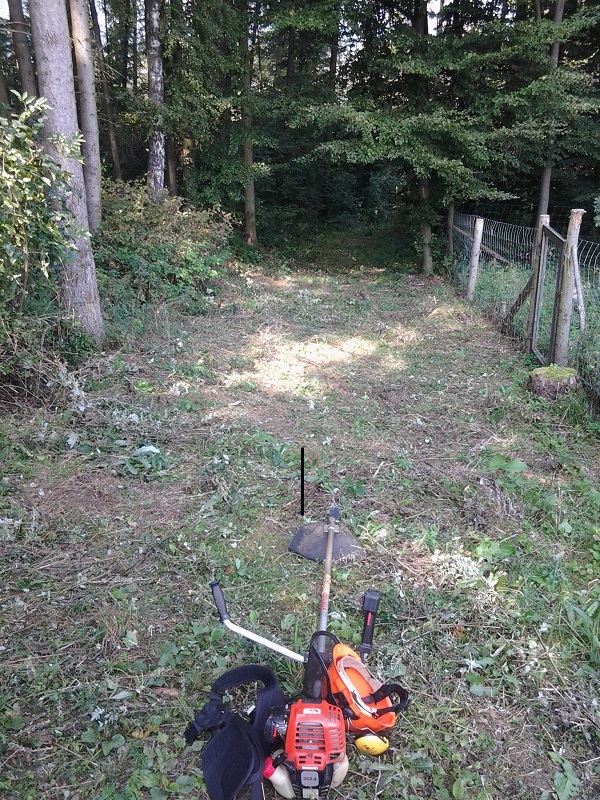 2014-09-10 12.24.50.jpg