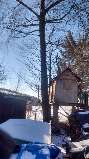 IMG_20170120_140216407_HDR (360x640).jpg