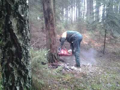 2013-12-28 11.56.57.jpg