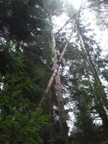 2012-11-17 14.31.06.jpg