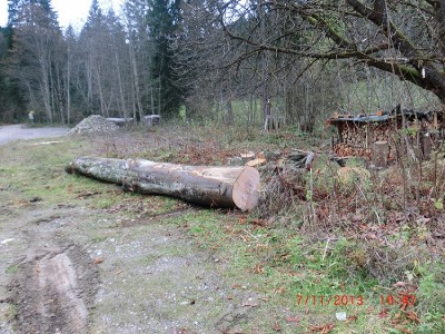 CIMG6143.JPG
