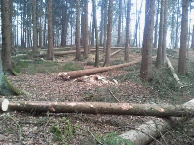 K1024_2013-12-31 09.07.02.JPG