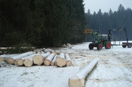 Waldarbeit_Januar_2009_01.jpg