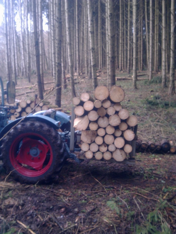 Brennholz 003.jpg