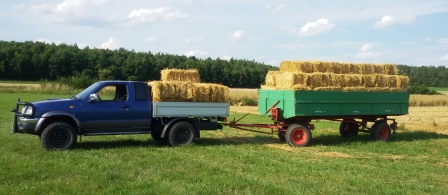 Pick Up Stroh 2017 1 klein.jpg