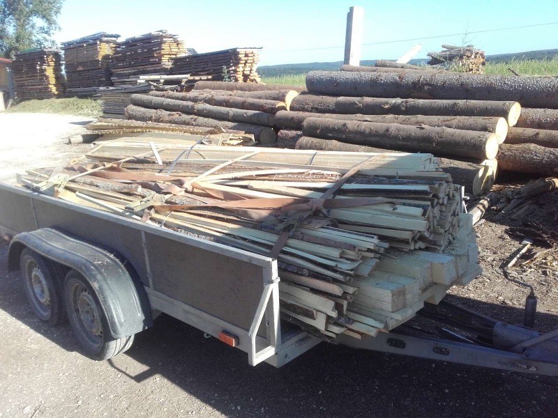 2019-06-09 Dürre Fichte 4 3.jpg