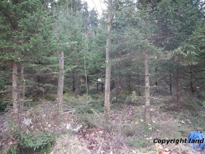 Ein Teil des Tagesergebnisses.jpg