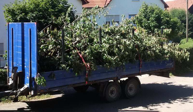 2012-08-18 13_034.38.04.jpg