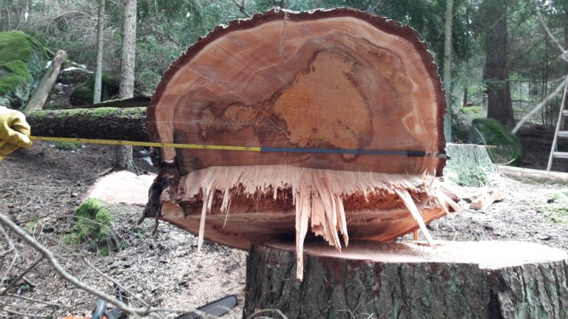 Wochenende2 (18).jpg