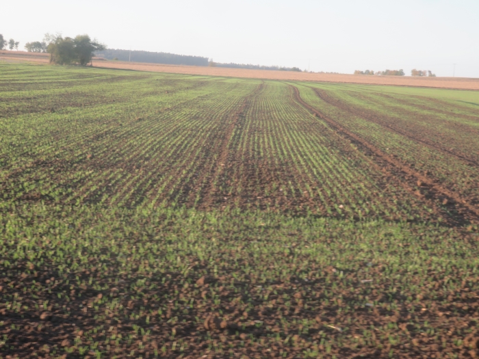 Der Nachbar hat gepflügt.jpg