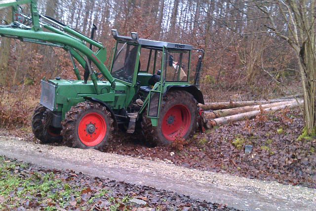 Holzrücken 03.01.13c.jpg