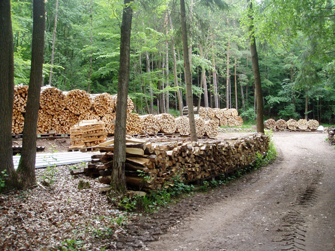 Ergebnis 2010 001.jpg