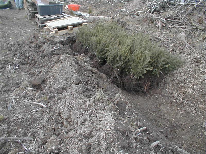 Bild 029 (Medium).jpg