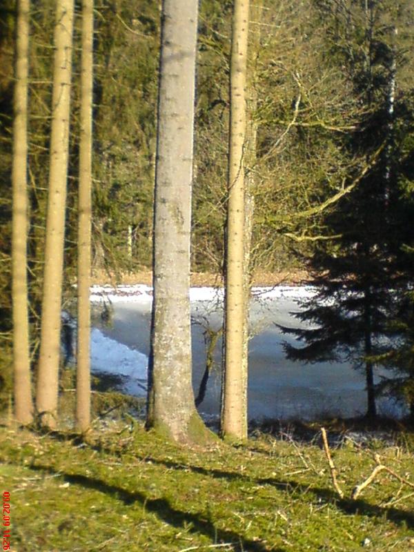 09-Feb-09_Eisweiher_V02.jpg