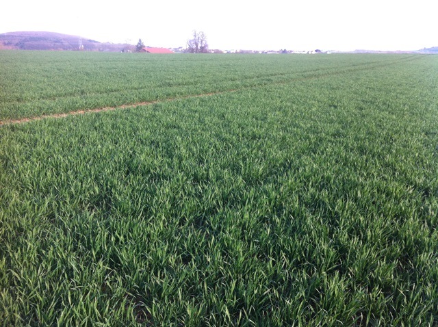 Ausflug Samstag 004.JPG