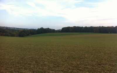 Elixer Stoppelweizen, Scheibenegge 10 cm.JPG