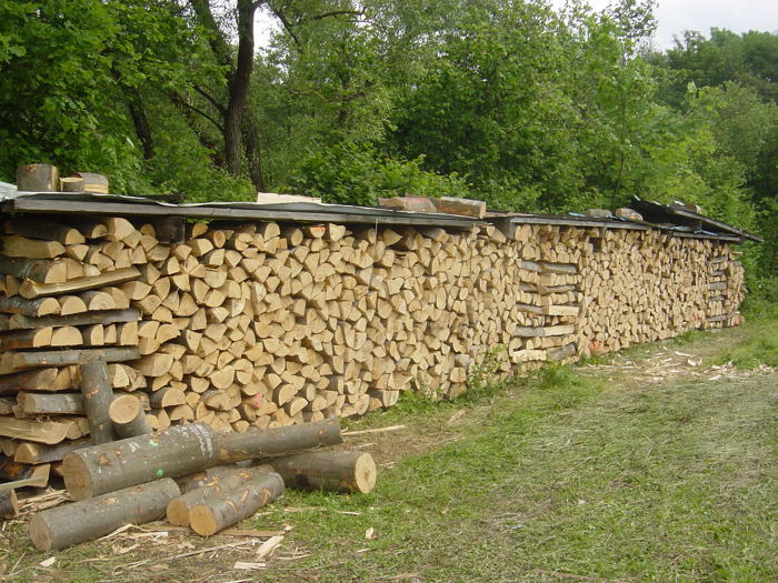 Holz1.jpg