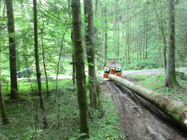 Starkholz 010.jpg
