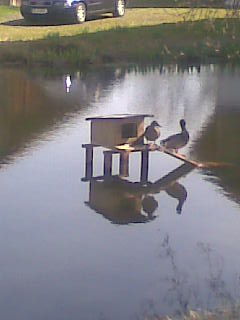 Bild360.jpg