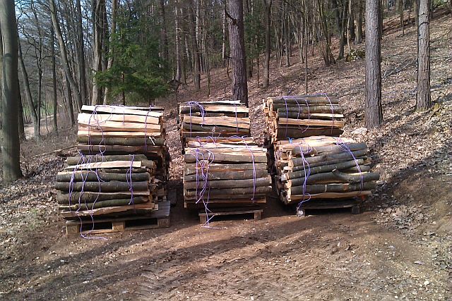 Holz spalten 2015f.jpg