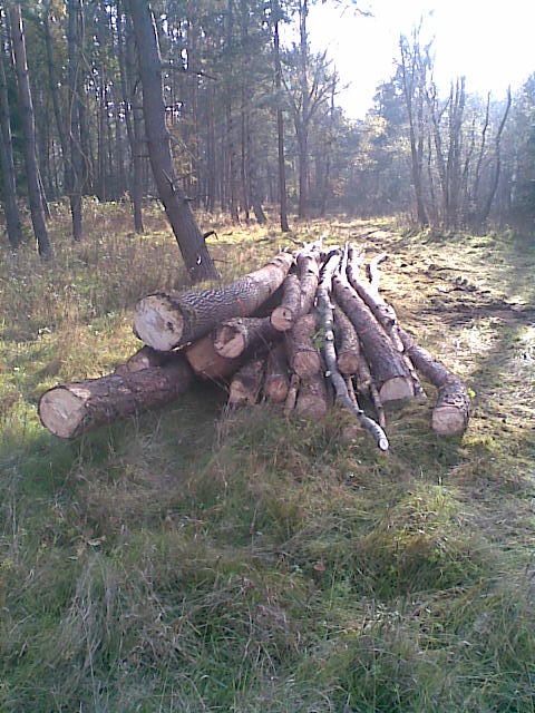 Bild007.jpg