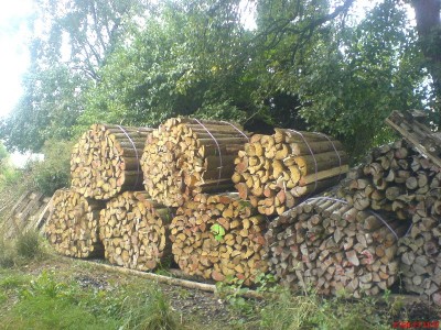 27-Aug-2013_v9.jpg
