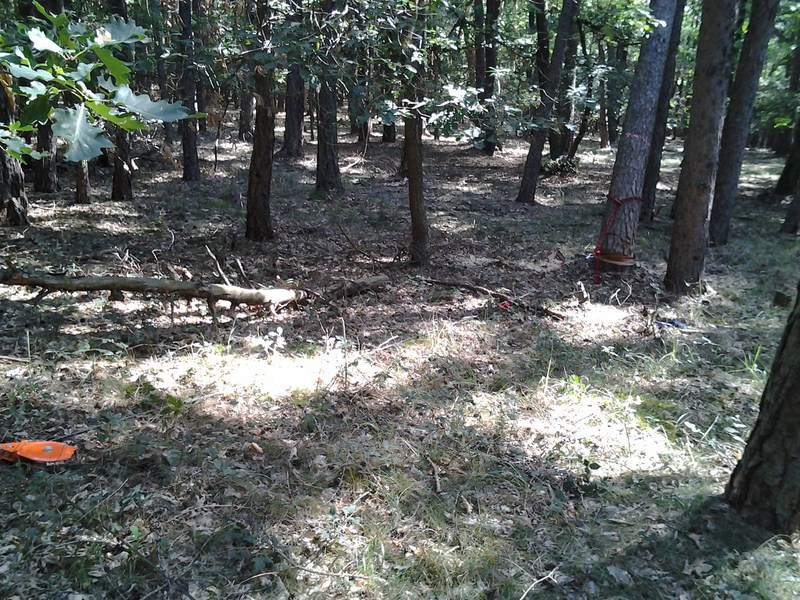 2012-08-20 09.52.59.jpg