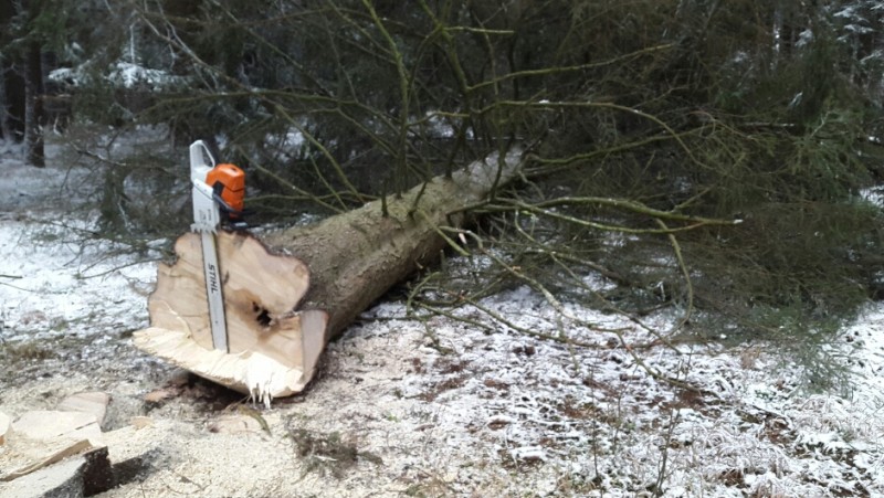 2015-11-29 19.12.55.jpg