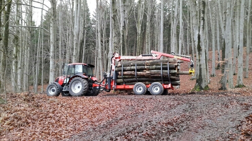 2015-12-05 17.28.00.jpg